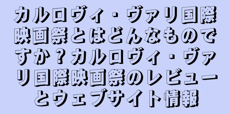カルロヴィ・ヴァリ国際映画祭とはどんなものですか？カルロヴィ・ヴァリ国際映画祭のレビューとウェブサイト情報
