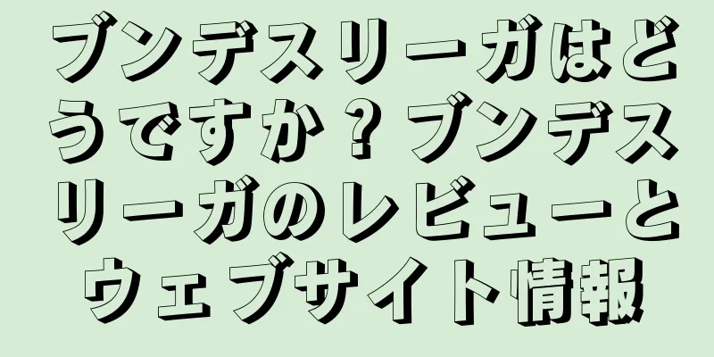 ブンデスリーガはどうですか？ブンデスリーガのレビューとウェブサイト情報