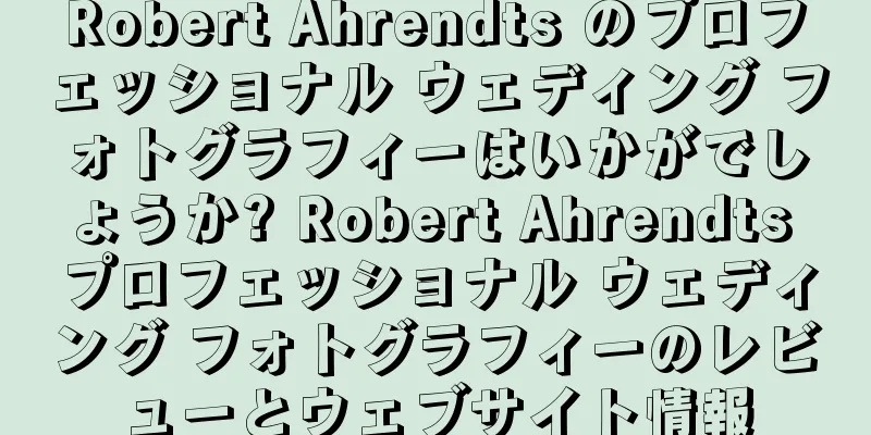 Robert Ahrendts のプロフェッショナル ウェディング フォトグラフィーはいかがでしょうか? Robert Ahrendts プロフェッショナル ウェディング フォトグラフィーのレビューとウェブサイト情報
