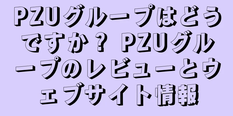PZUグループはどうですか？ PZUグループのレビューとウェブサイト情報