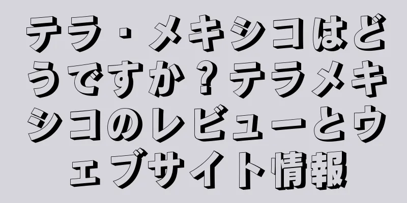 テラ・メキシコはどうですか？テラメキシコのレビューとウェブサイト情報