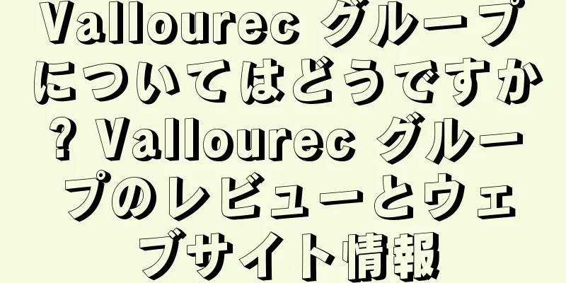 Vallourec グループについてはどうですか? Vallourec グループのレビューとウェブサイト情報