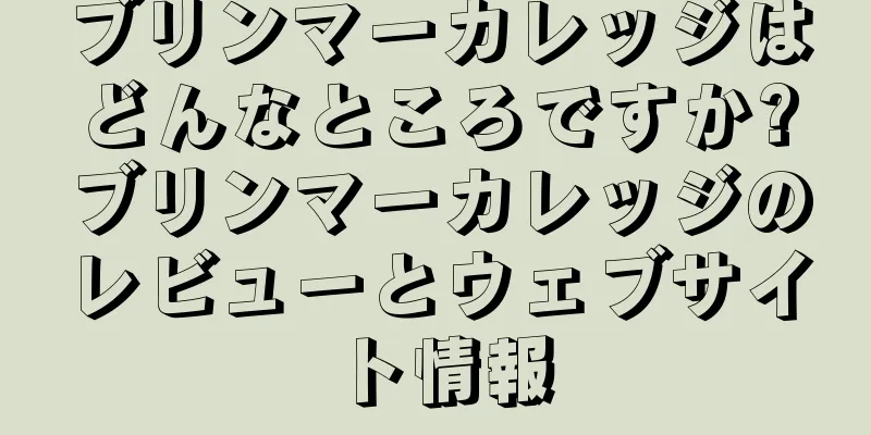 ブリンマーカレッジはどんなところですか?ブリンマーカレッジのレビューとウェブサイト情報