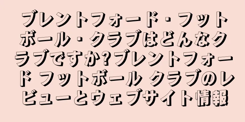ブレントフォード・フットボール・クラブはどんなクラブですか?ブレントフォード フットボール クラブのレビューとウェブサイト情報