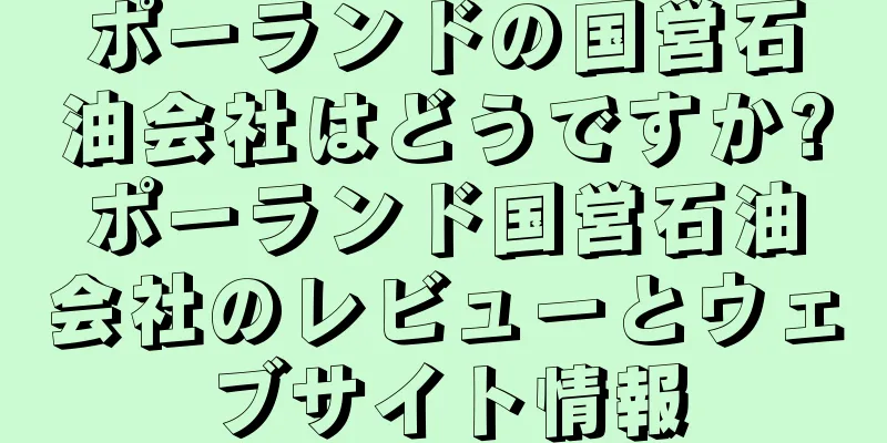 ポーランドの国営石油会社はどうですか?ポーランド国営石油会社のレビューとウェブサイト情報