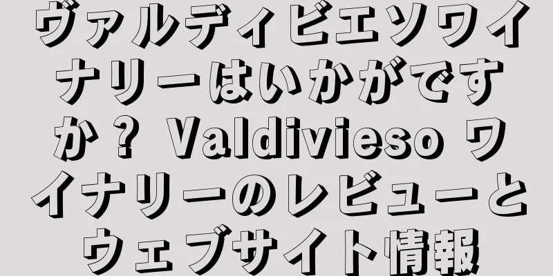 ヴァルディビエソワイナリーはいかがですか？ Valdivieso ワイナリーのレビューとウェブサイト情報