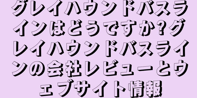 グレイハウンドバスラインはどうですか?グレイハウンドバスラインの会社レビューとウェブサイト情報