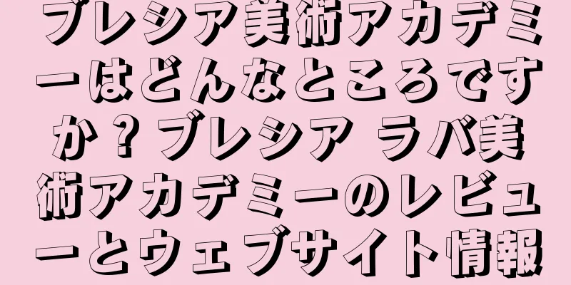 ブレシア美術アカデミーはどんなところですか？ブレシア ラバ美術アカデミーのレビューとウェブサイト情報