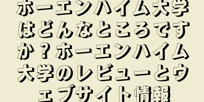 ホーエンハイム大学はどんなところですか？ホーエンハイム大学のレビューとウェブサイト情報