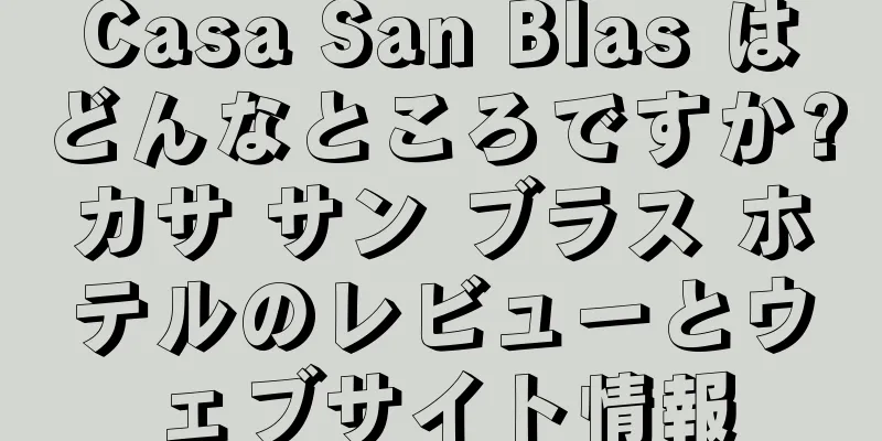 Casa San Blas はどんなところですか?カサ サン ブラス ホテルのレビューとウェブサイト情報
