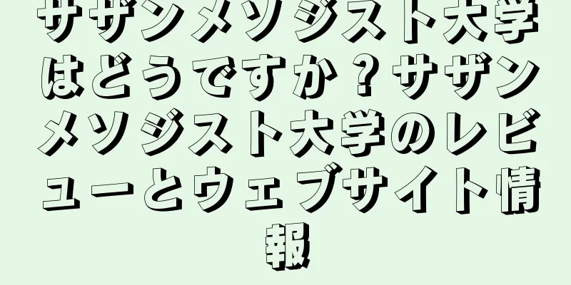 サザンメソジスト大学はどうですか？サザンメソジスト大学のレビューとウェブサイト情報