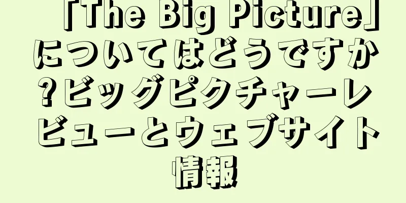 「The Big Picture」についてはどうですか?ビッグピクチャーレビューとウェブサイト情報