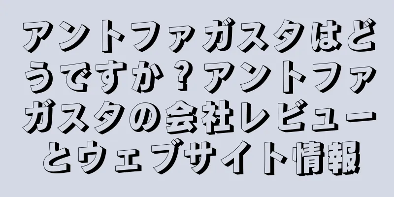 アントファガスタはどうですか？アントファガスタの会社レビューとウェブサイト情報