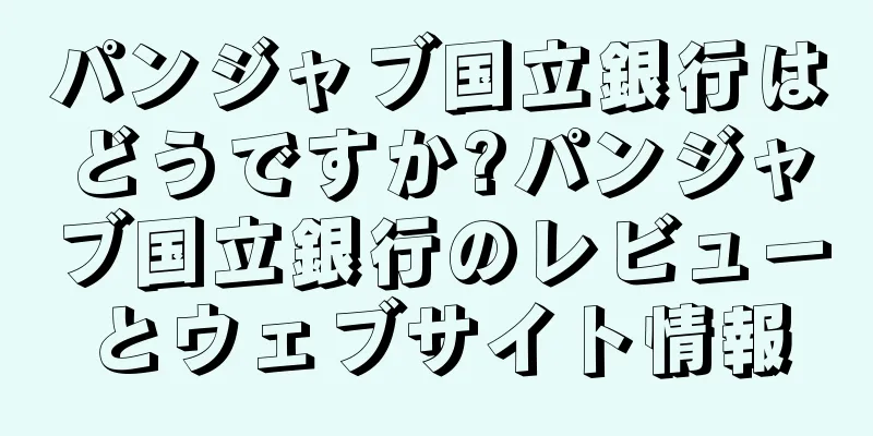 パンジャブ国立銀行はどうですか?パンジャブ国立銀行のレビューとウェブサイト情報
