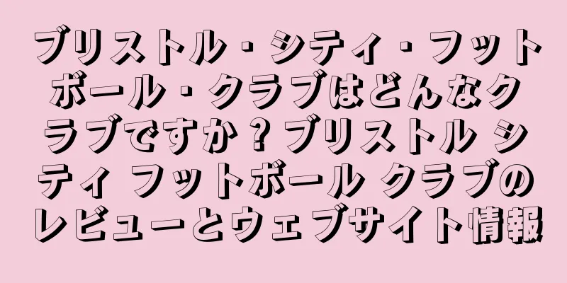 ブリストル・シティ・フットボール・クラブはどんなクラブですか？ブリストル シティ フットボール クラブのレビューとウェブサイト情報