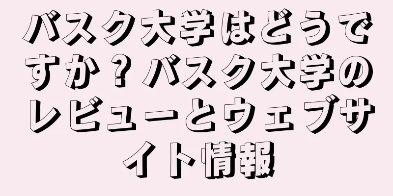 バスク大学はどうですか？バスク大学のレビューとウェブサイト情報