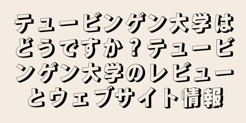 テュービンゲン大学はどうですか？テュービンゲン大学のレビューとウェブサイト情報