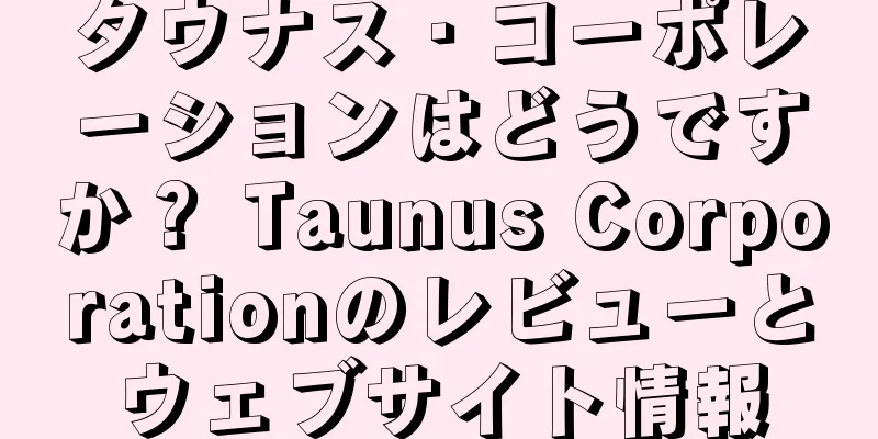 タウナス・コーポレーションはどうですか？ Taunus Corporationのレビューとウェブサイト情報