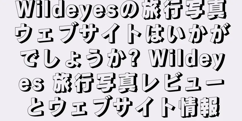 Wildeyesの旅行写真ウェブサイトはいかがでしょうか? Wildeyes 旅行写真レビューとウェブサイト情報