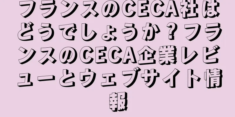 フランスのCECA社はどうでしょうか？フランスのCECA企業レビューとウェブサイト情報