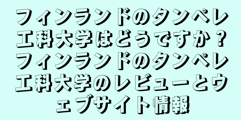 フィンランドのタンペレ工科大学はどうですか？フィンランドのタンペレ工科大学のレビューとウェブサイト情報