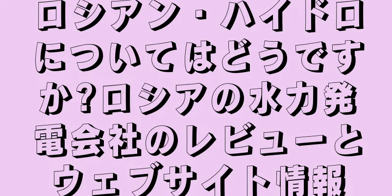 ロシアン・ハイドロについてはどうですか?ロシアの水力発電会社のレビューとウェブサイト情報