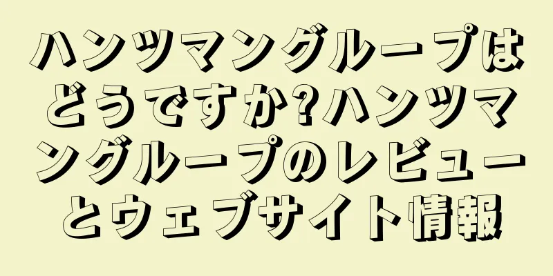 ハンツマングループはどうですか?ハンツマングループのレビューとウェブサイト情報