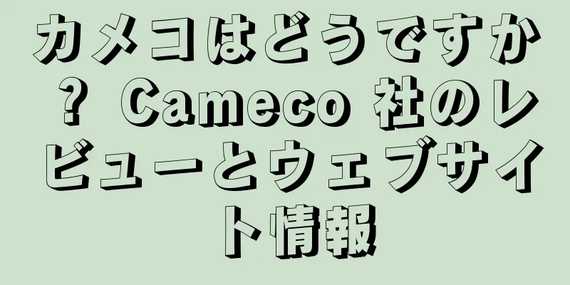 カメコはどうですか？ Cameco 社のレビューとウェブサイト情報