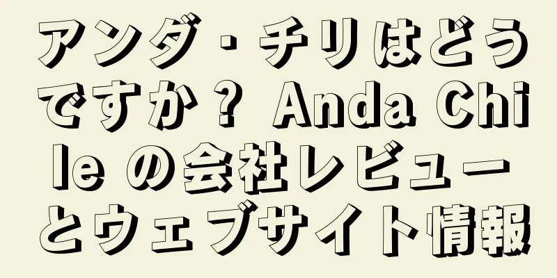 アンダ・チリはどうですか？ Anda Chile の会社レビューとウェブサイト情報