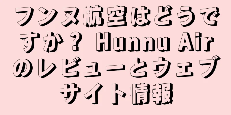 フンヌ航空はどうですか？ Hunnu Airのレビューとウェブサイト情報