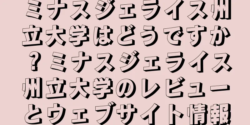 ミナスジェライス州立大学はどうですか？ミナスジェライス州立大学のレビューとウェブサイト情報