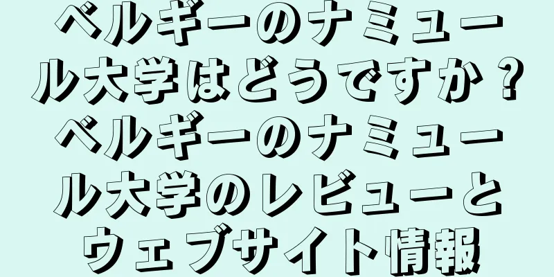 ベルギーのナミュール大学はどうですか？ベルギーのナミュール大学のレビューとウェブサイト情報