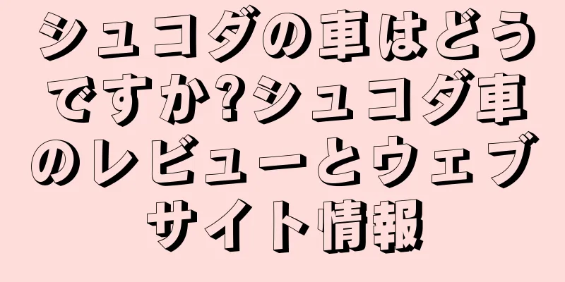 シュコダの車はどうですか?シュコダ車のレビューとウェブサイト情報