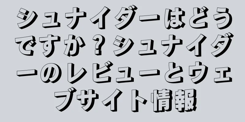 シュナイダーはどうですか？シュナイダーのレビューとウェブサイト情報