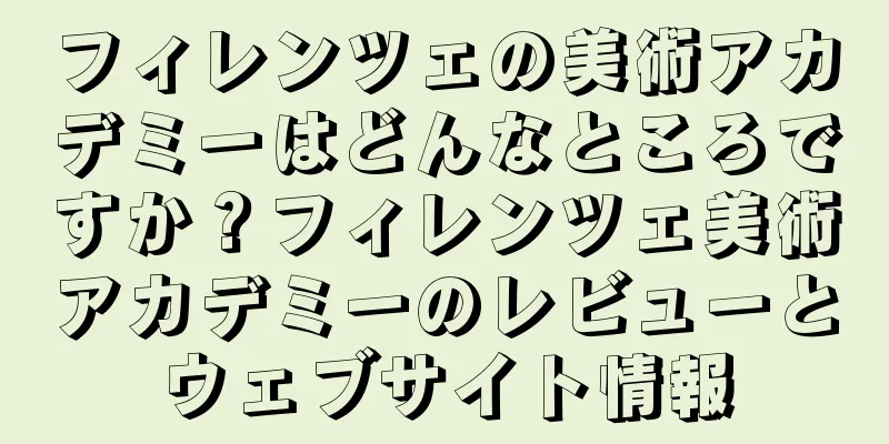 フィレンツェの美術アカデミーはどんなところですか？フィレンツェ美術アカデミーのレビューとウェブサイト情報