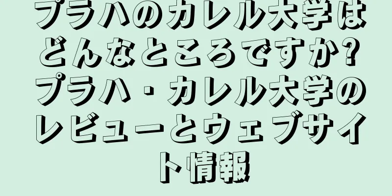 プラハのカレル大学はどんなところですか?プラハ・カレル大学のレビューとウェブサイト情報