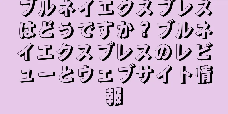 ブルネイエクスプレスはどうですか？ブルネイエクスプレスのレビューとウェブサイト情報