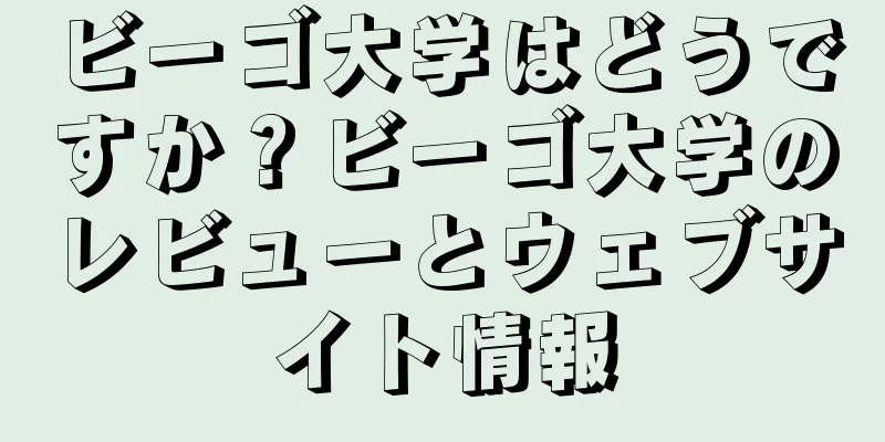 ビーゴ大学はどうですか？ビーゴ大学のレビューとウェブサイト情報