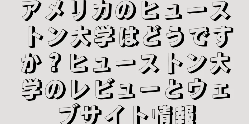 アメリカのヒューストン大学はどうですか？ヒューストン大学のレビューとウェブサイト情報