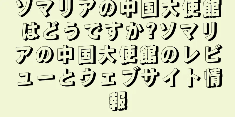 ソマリアの中国大使館はどうですか?ソマリアの中国大使館のレビューとウェブサイト情報