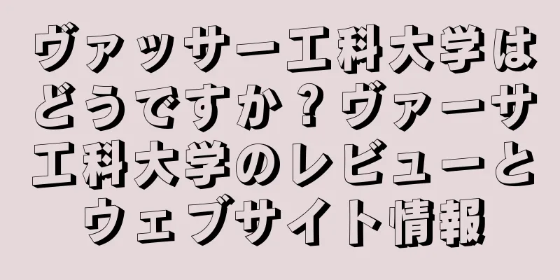 ヴァッサー工科大学はどうですか？ヴァーサ工科大学のレビューとウェブサイト情報