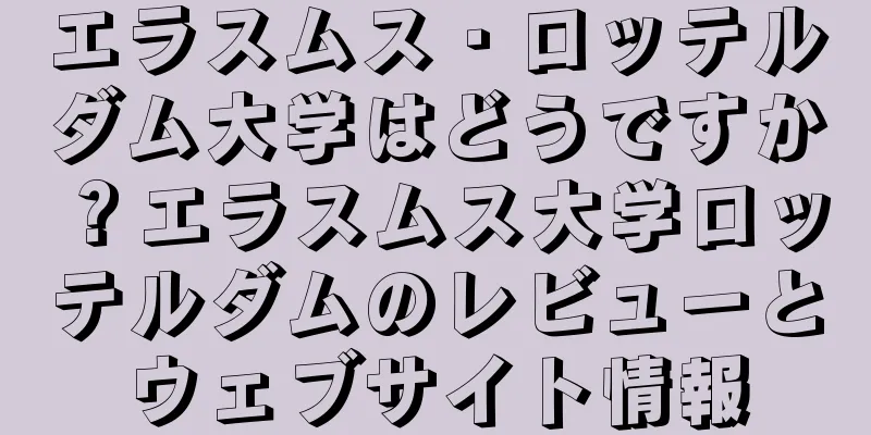 エラスムス・ロッテルダム大学はどうですか？エラスムス大学ロッテルダムのレビューとウェブサイト情報