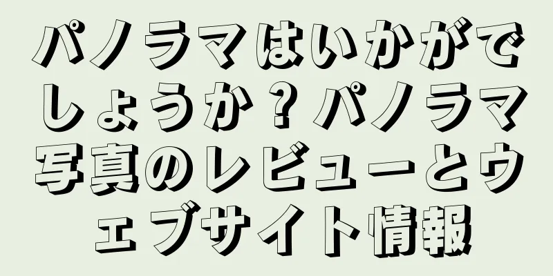 パノラマはいかがでしょうか？パノラマ写真のレビューとウェブサイト情報