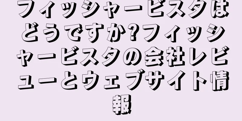 フィッシャービスタはどうですか?フィッシャービスタの会社レビューとウェブサイト情報
