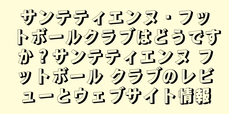 サンテティエンヌ・フットボールクラブはどうですか？サンテティエンヌ フットボール クラブのレビューとウェブサイト情報