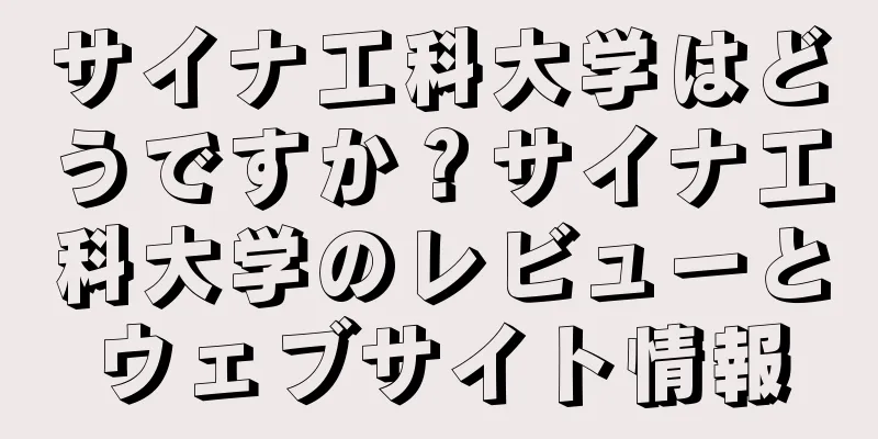 サイナ工科大学はどうですか？サイナ工科大学のレビューとウェブサイト情報