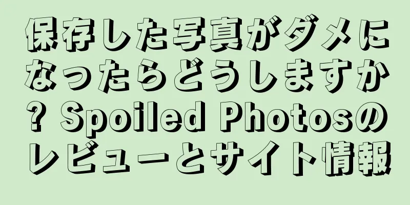保存した写真がダメになったらどうしますか? Spoiled Photosのレビューとサイト情報