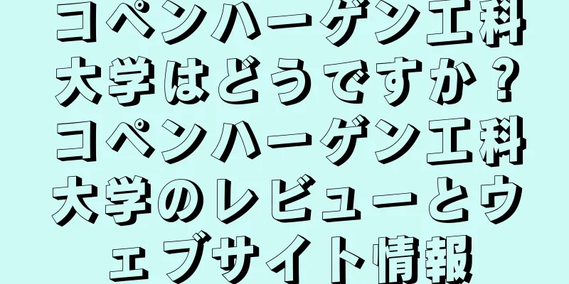 コペンハーゲン工科大学はどうですか？コペンハーゲン工科大学のレビューとウェブサイト情報