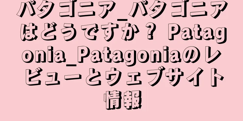 パタゴニア_パタゴニアはどうですか？ Patagonia_Patagoniaのレビューとウェブサイト情報