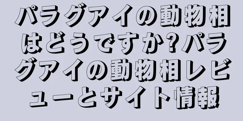 パラグアイの動物相はどうですか?パラグアイの動物相レビューとサイト情報